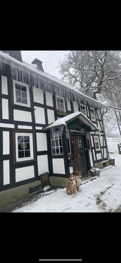 Berghof Schmitte Guest House Winterberg Exterior photo