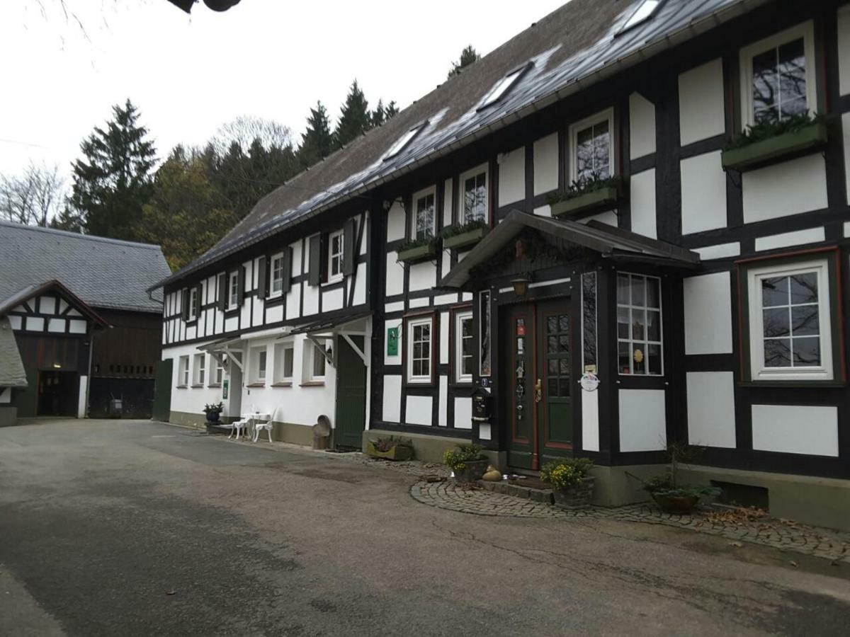 Berghof Schmitte Guest House Winterberg Exterior photo