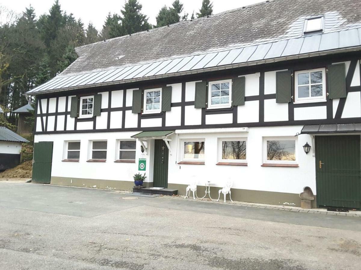 Berghof Schmitte Guest House Winterberg Exterior photo